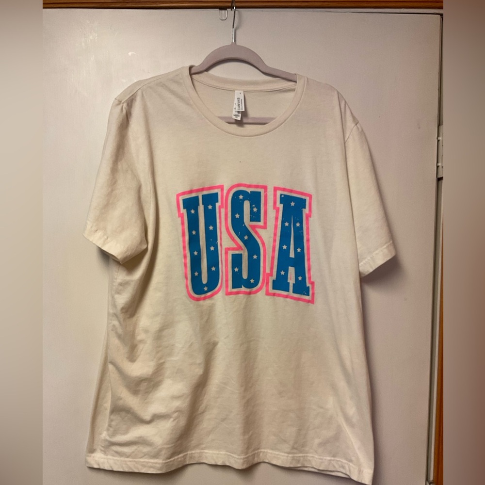 USA Graphic T-Shirt in Cream and Blue